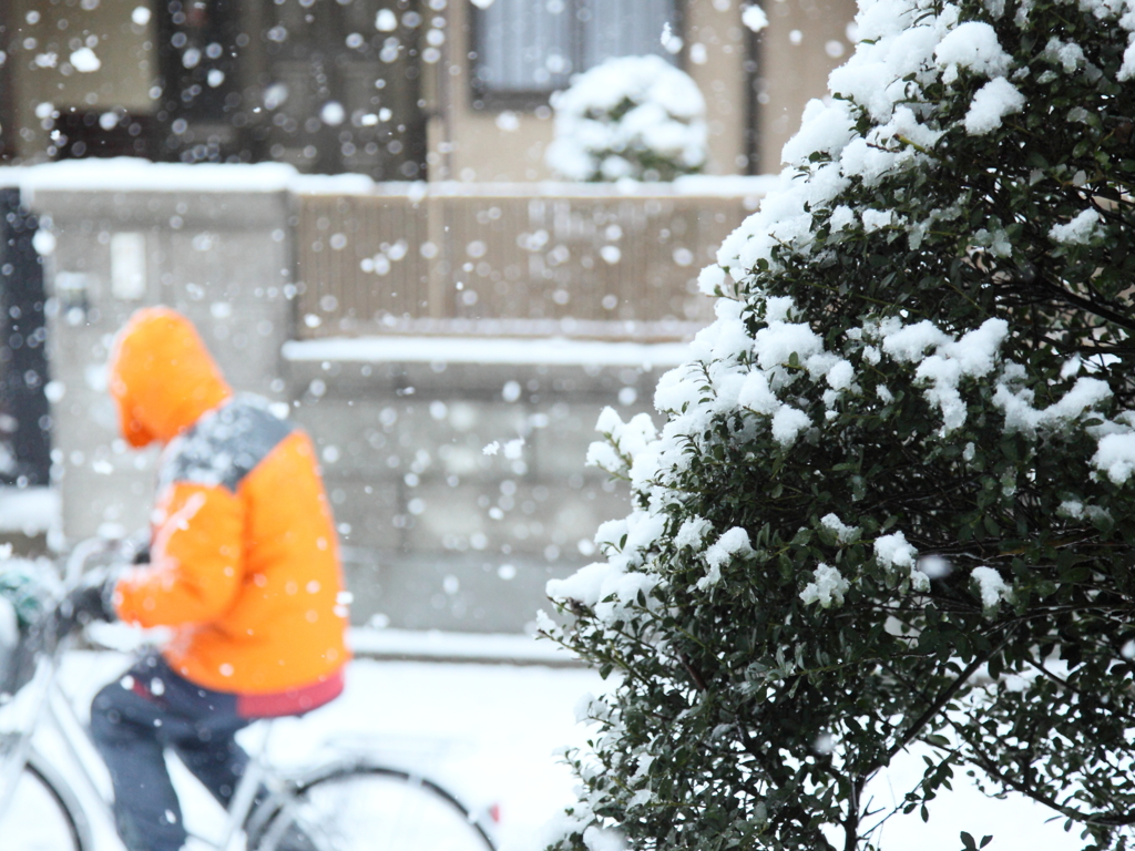 初雪！