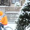 初雪！