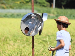 夏休みの想い出！