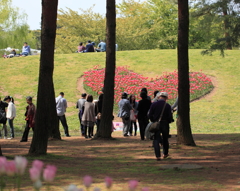 We♥Japan