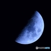霜月の上弦　