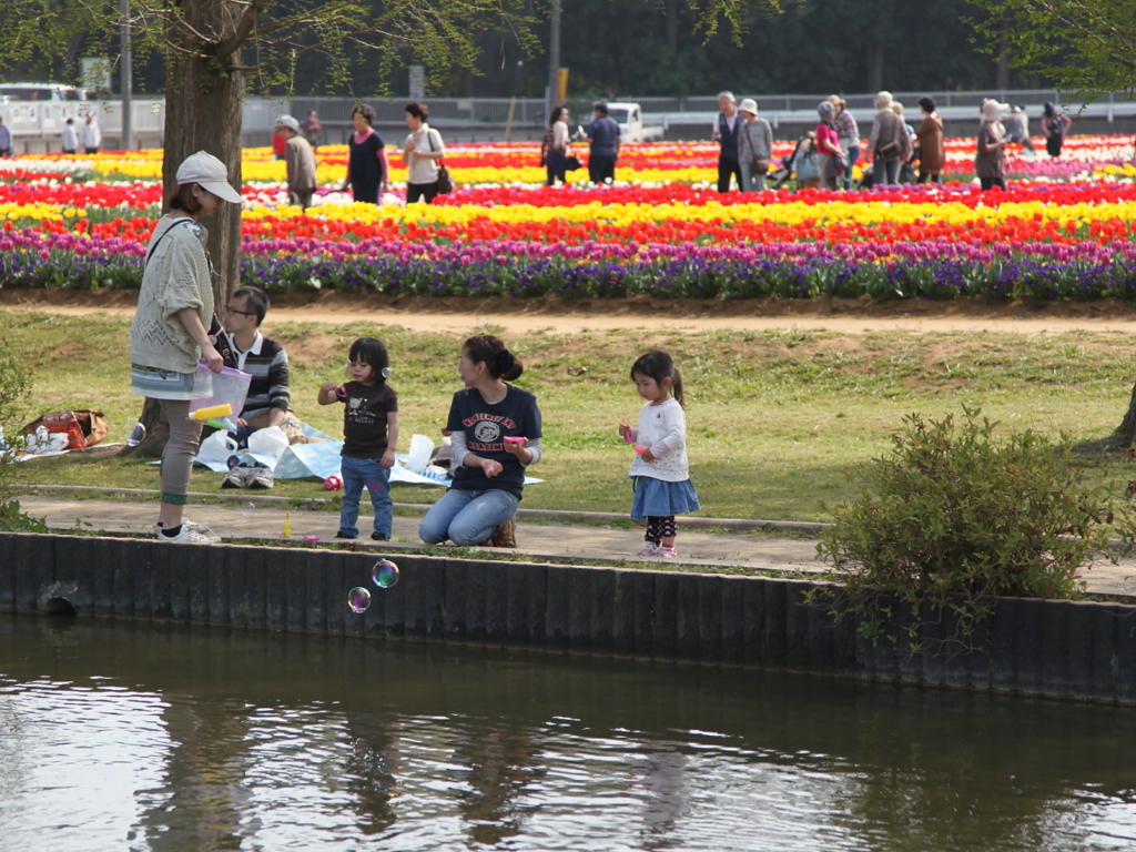 ママ友のお花見