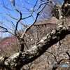 「展望あずまや」を…展望
