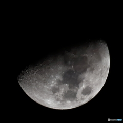 月齢7.5 ( 2016/02/16 )