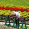 セルフタイマー、セッテング中