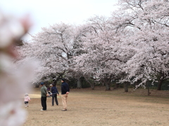 癒しの風景！