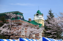 シャトー・カミヤ 桜まつり 2016