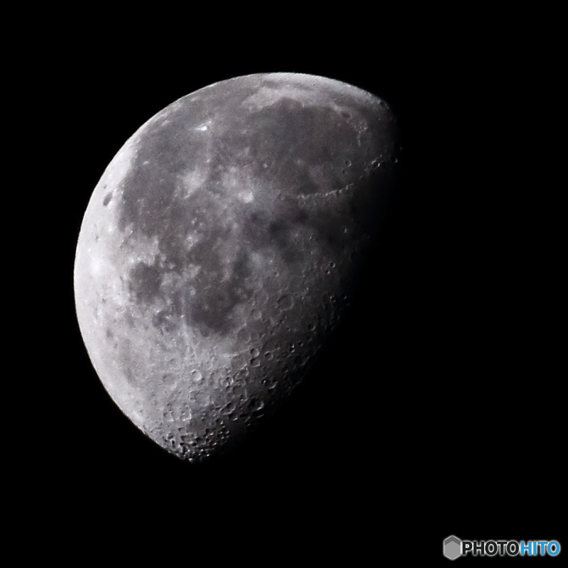 月例19.5 宵月