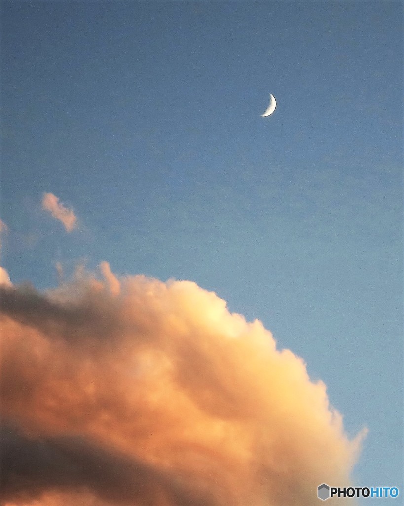 夕陽に映える…弓張月 