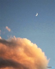 夕陽に映える…弓張月 