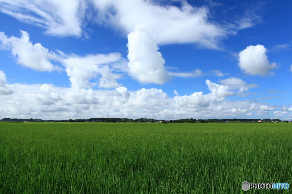 夏空