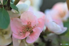 爽やかに