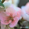 爽やかに