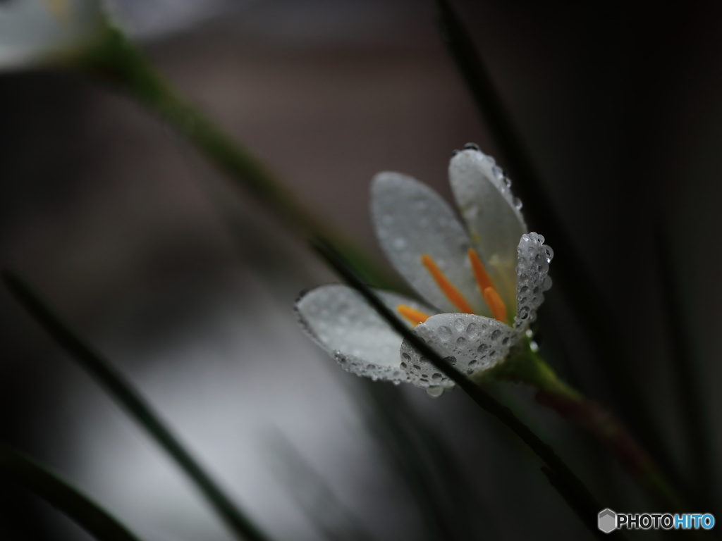 雨衣