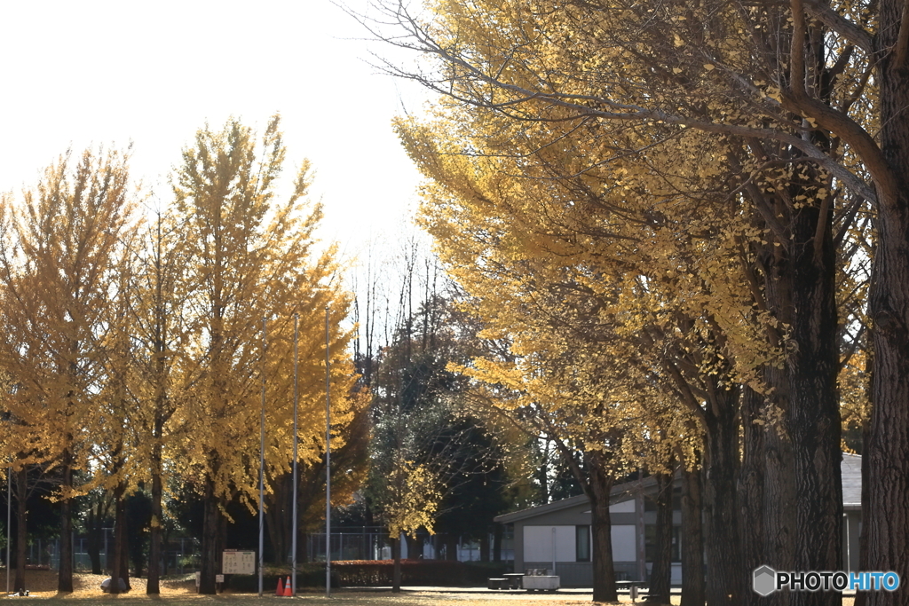 '22 科学万博記念公園の晩秋