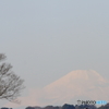 遠方白富士Ⅰ