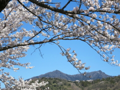 筑波山