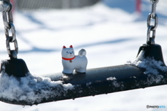 初雪に遊ぶ