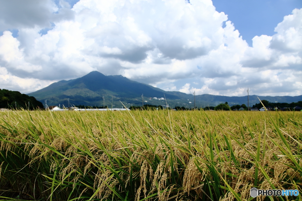 筑波山麓・田園風景Ⅲ