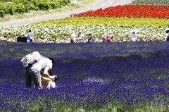 花より、奇麗だよ！