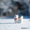 ❜18 ⛄初雪散歩