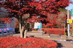 常磐道・関本ＰＡ