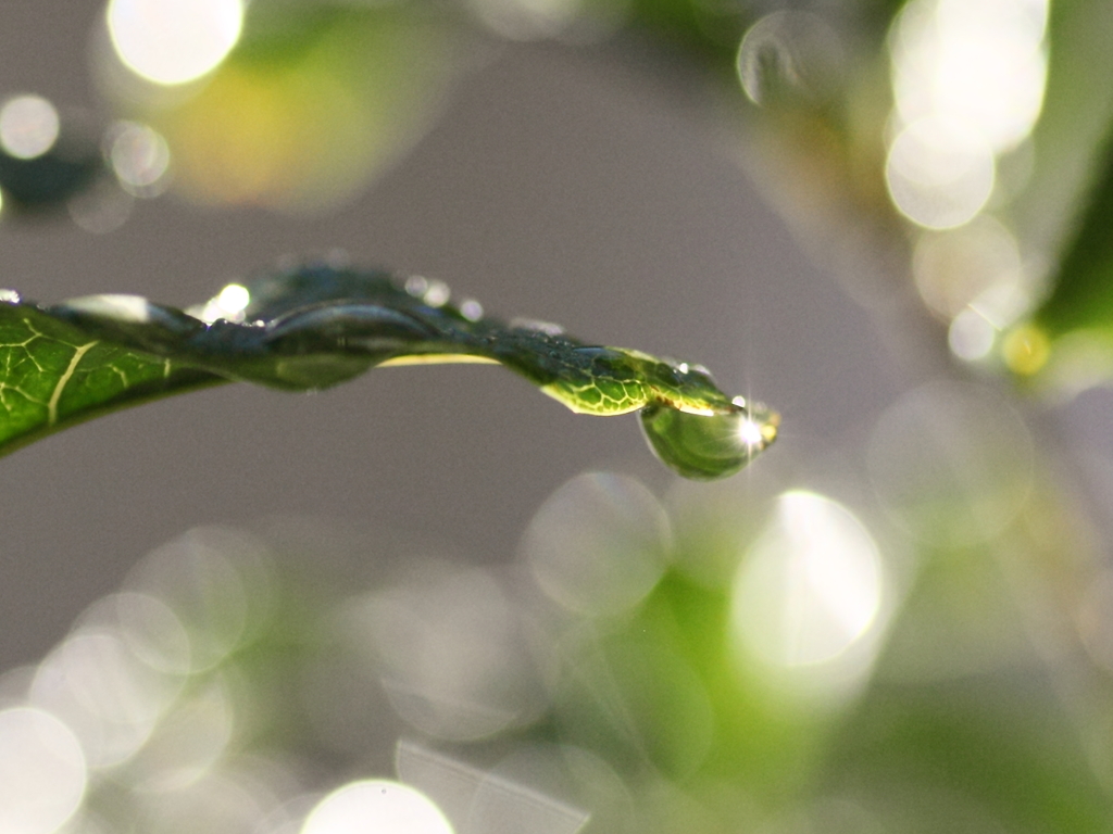 雨上がりの光芒