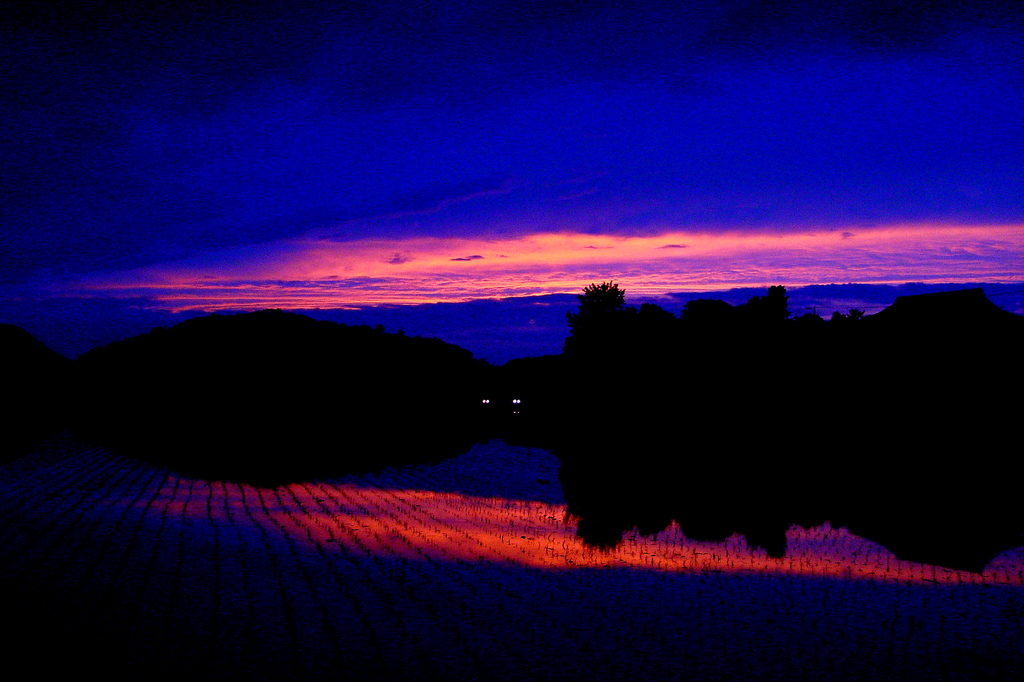 DSC06031