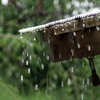 雨