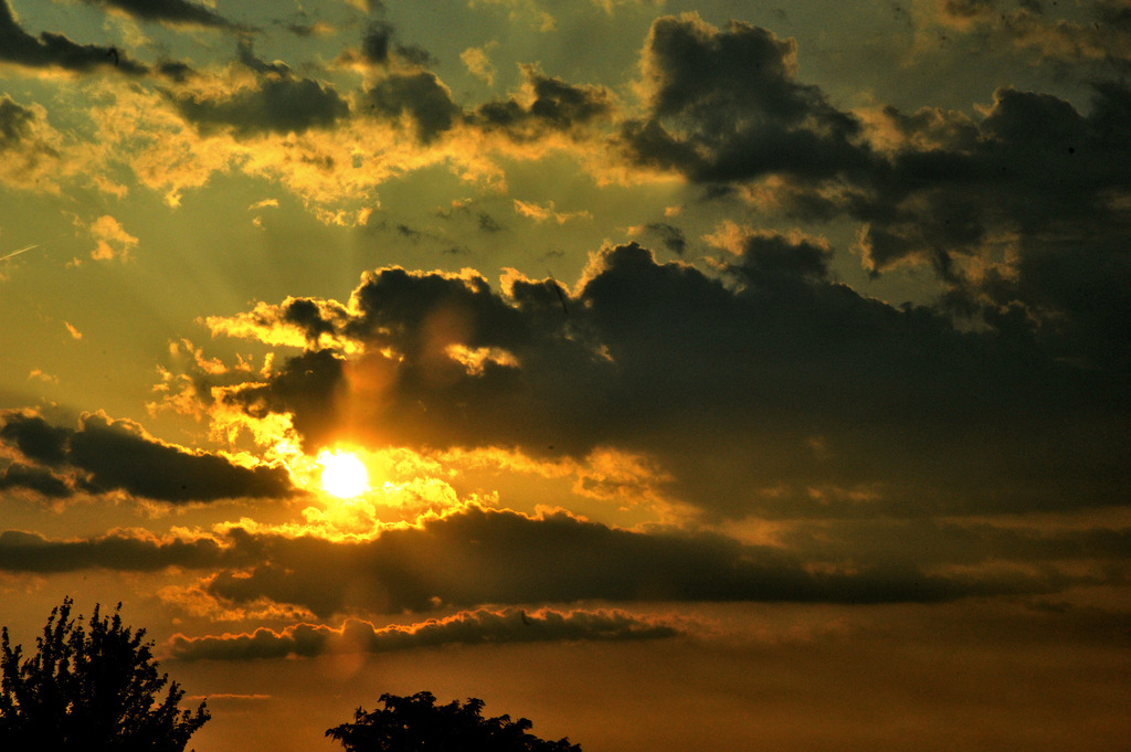 夕陽