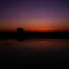 水田の夕暮れⅤ