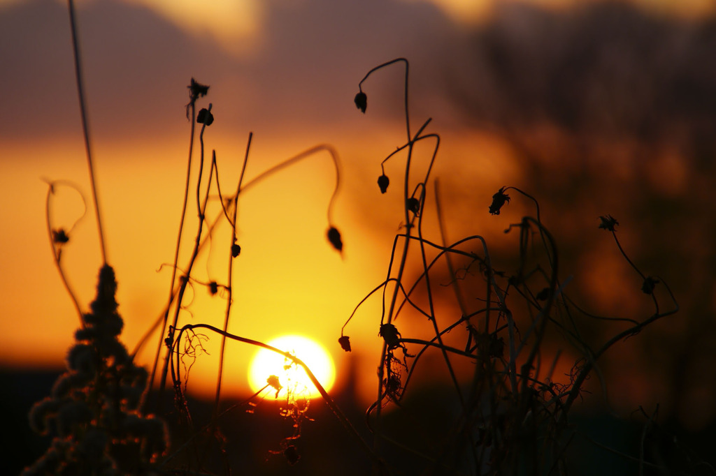 晩秋の夕暮れ