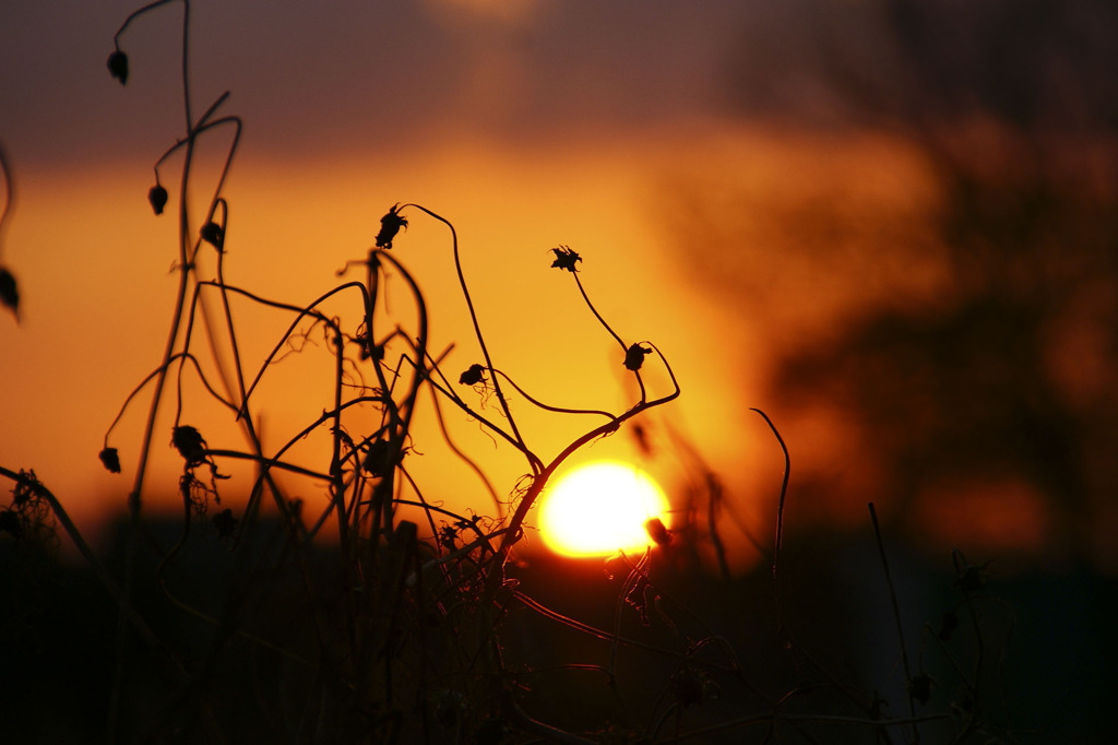 晩秋の夕刻