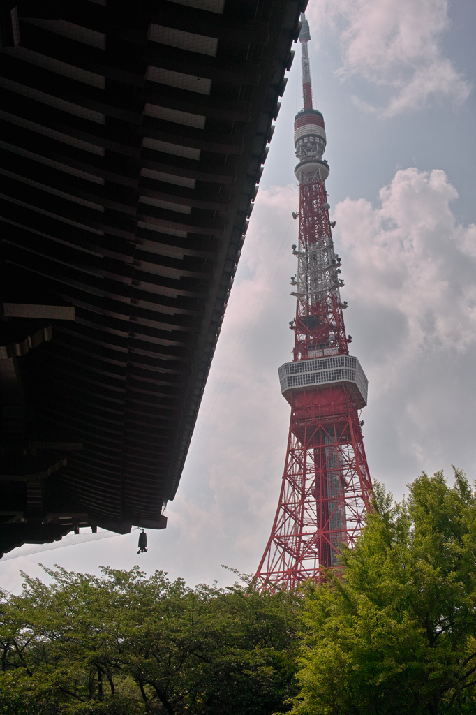増上寺から東京タワーを見上げて
