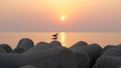 夕日