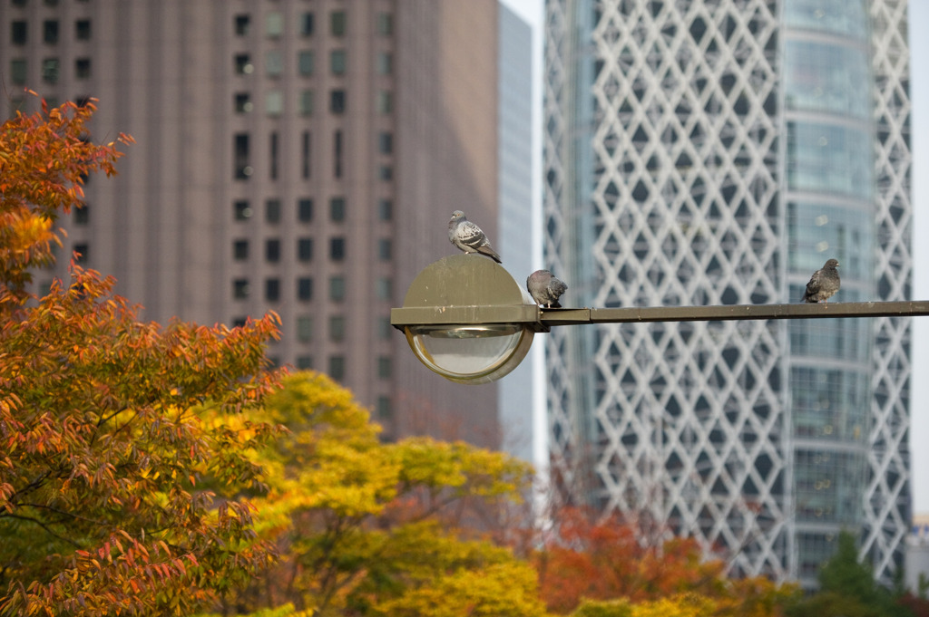 安息の地