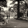 Kids in a green campus