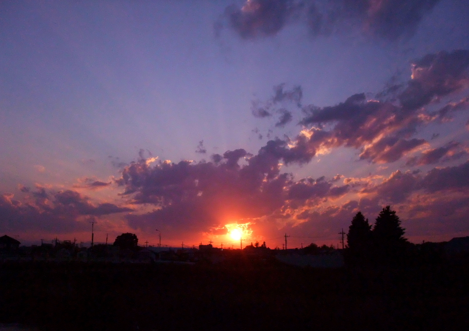 夕日２