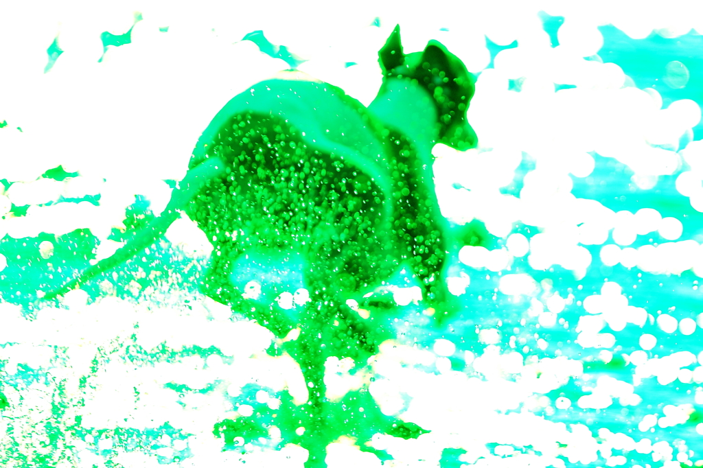 水遊び006