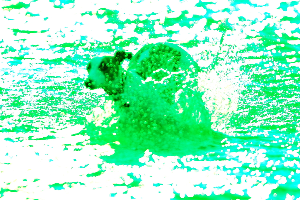 水遊び005