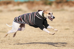 ヤッホ～イ！