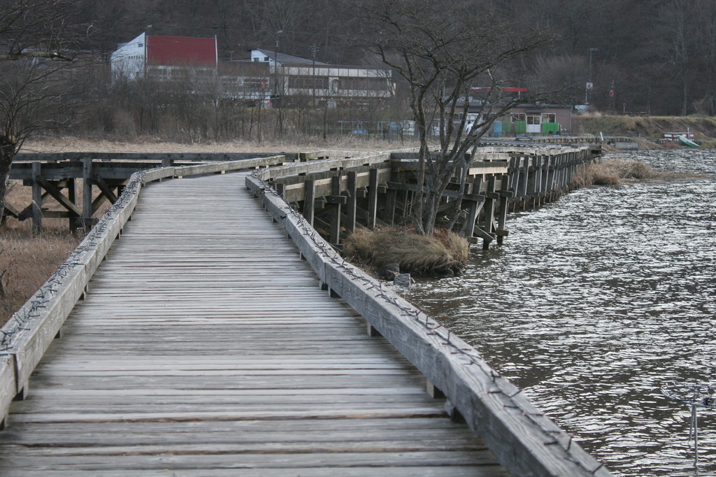 榛名　冬の遊歩道