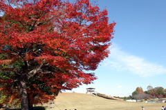 紅葉平