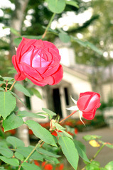 DSCF0060