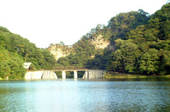 DSCF0049