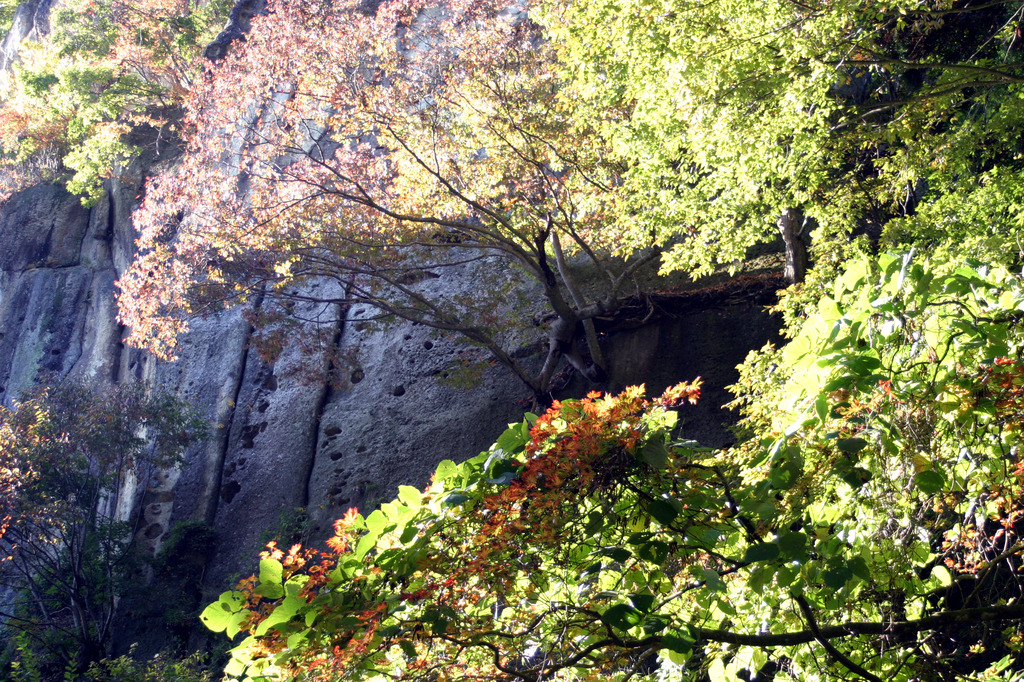 山寺の秋