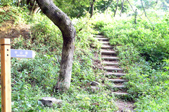 DSCF0042