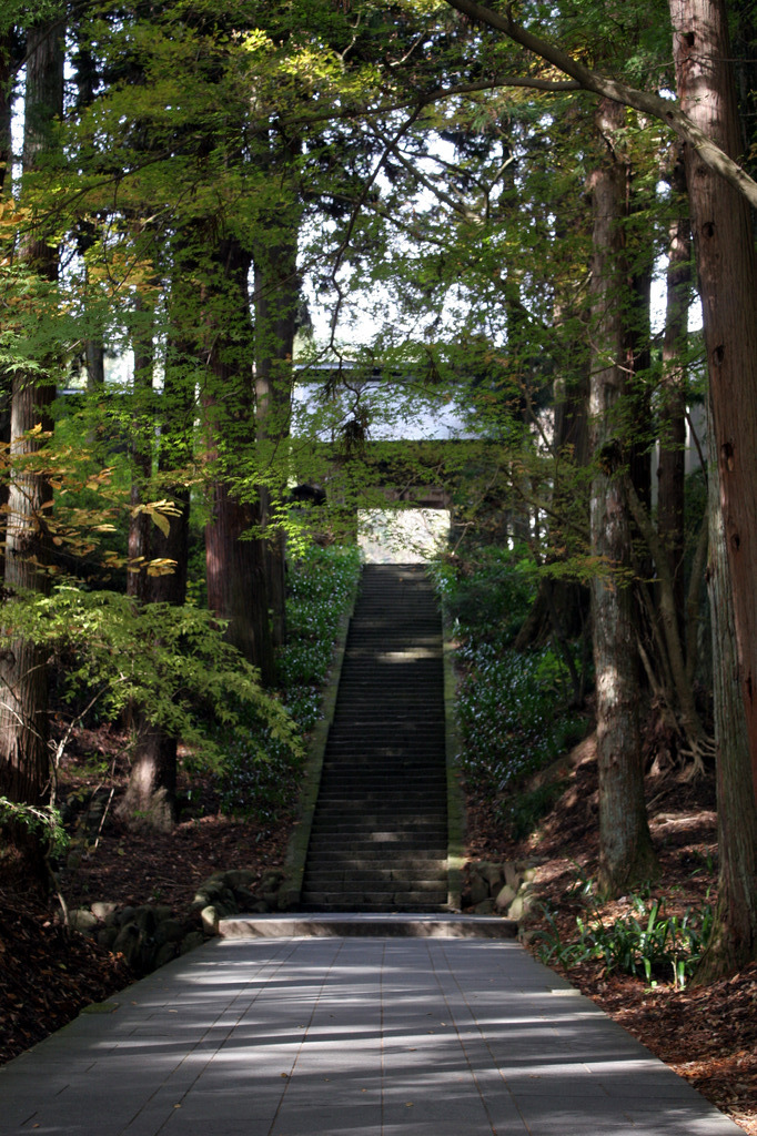 安楽寺参道