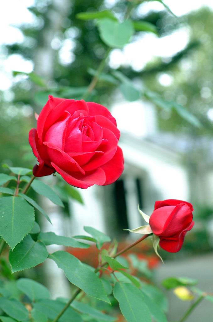 DSCF0059
