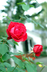 DSCF0059